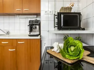 Prodej bytu 3+1, Borovany, Nová, 65 m2