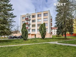 Prodej bytu 3+1, Borovany, Nová, 65 m2