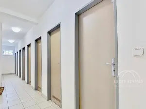 Pronájem bytu 1+kk, Praha - Libeň, Budilova, 41 m2