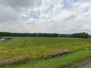 Prodej komerčního pozemku, Vysoké Mýto, Voštice, 3383 m2