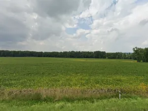 Prodej komerčního pozemku, Vysoké Mýto, Voštice, 3446 m2