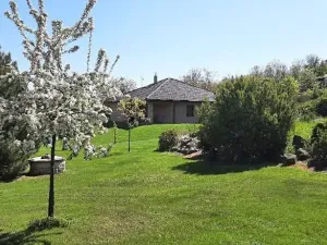 Prodej rodinného domu, Cvrčovice, 168 m2