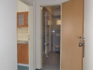 Pronájem bytu 1+1, Děčín - Děčín IV-Podmokly, Čs. legií, 39 m2