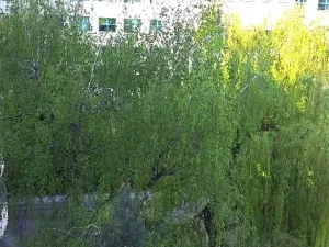 Prodej bytu 1+1, Praha - Nusle, Hvězdova, 49 m2