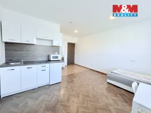 Pronájem bytu 1+kk, Pardubice - Semtín, 28 m2