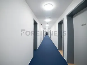 Pronájem bytu 1+kk, Olomouc, Edmunda Husserla, 27 m2