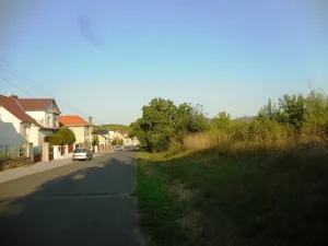 Prodej pozemku pro bydlení, Zabrušany, 5682 m2