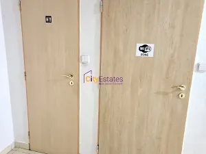 Pronájem bytu 1+1, České Budějovice, Dr. Stejskala, 59 m2