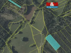 Prodej lesa, Mrákotín, 7873 m2