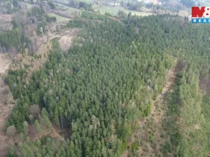 Prodej lesa, Mrákotín, 7873 m2