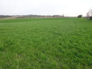 Prodej komerčního pozemku, Stránecká Zhoř - Kochánov, 2295 m2