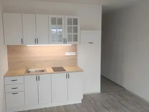 Pronájem bytu 1+kk, Hradec Králové, třída Edvarda Beneše, 30 m2