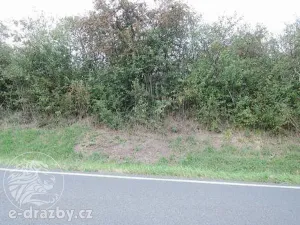 Dražba pozemku, Třebichovice, 6533 m2