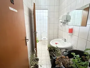 Pronájem obchodního prostoru, Hulín, Višňovce, 402 m2