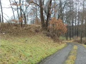Dražba louky, Mladá Vožice, 26557 m2