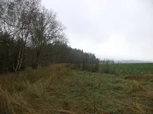 Dražba louky, Peč, 7060 m2