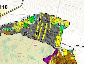 Dražba lesa, Chotěbudice, 4302 m2