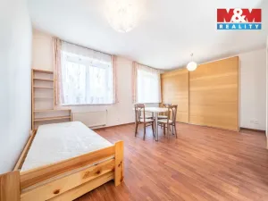 Pronájem bytu 1+kk, Plzeň - Skvrňany, Waltrova, 50 m2