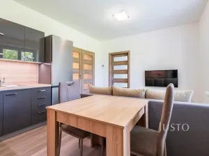 Pronájem bytu 2+kk, Staré Město, Mahenova, 45 m2