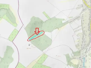 Prodej podílu lesa, Nikolčice, 2475 m2
