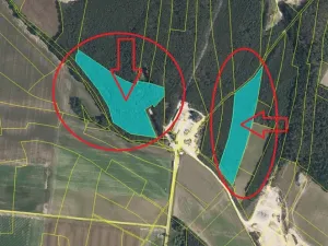 Prodej podílu lesa, Sojovice, 6719 m2