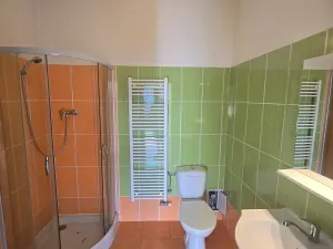 Pronájem bytu 1+kk, Brno, Plotní, 40 m2