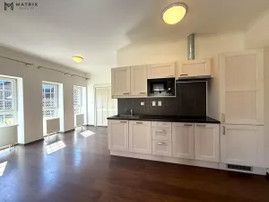 Pronájem bytu 1+kk, Praha - Libeň, Zenklova, 77 m2