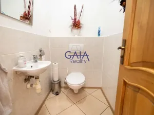 Prodej rodinného domu, Strážovice, 354 m2