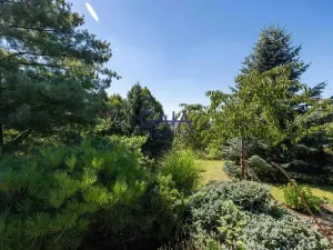 Prodej rodinného domu, Strážovice, 354 m2