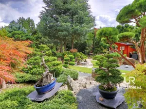 Prodej rodinného domu, Brno - Komín, Hlavní, 199 m2