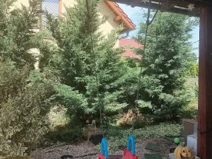 Prodej rodinného domu, Božice, 233 m2