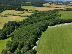 Prodej lesa, Horní Stropnice, 35281 m2