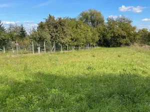 Prodej zahrady, Rajhrad, 1162 m2