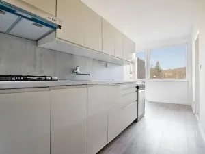 Pronájem bytu 3+1, Děčín, Slezská, 89 m2