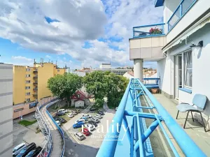 Prodej bytu 4+1, Brno, Příkop, 181 m2