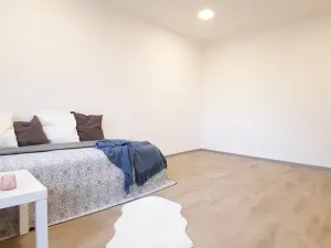 Pronájem bytu 1+1, Brno, Fričova, 46 m2