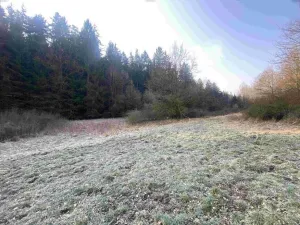 Prodej pozemku, Hluboká nad Vltavou - Kostelec, 3163 m2
