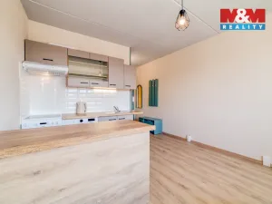 Pronájem bytu 1+1, Teplá, Palackého, 41 m2