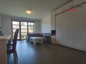 Prodej bytu 1+kk, Říčky v Orlických horách, 55 m2