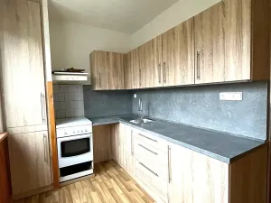 Pronájem bytu 2+1, Brno, náměstí SNP, 45 m2
