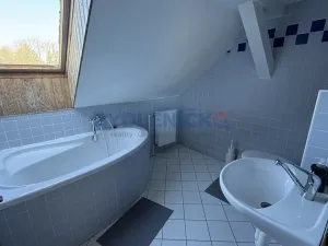 Pronájem vícegeneračního domu, Slavče, 333 m2