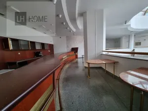 Pronájem obchodního prostoru, Plzeň, 1000 m2