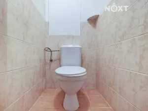 Prodej bytu 2+1, Praha - Žižkov, Habrová, 46 m2