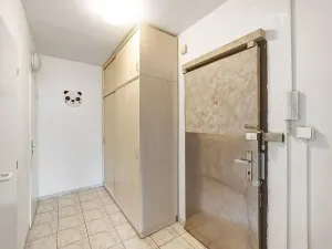 Prodej bytu 2+1, Praha - Žižkov, Habrová, 46 m2