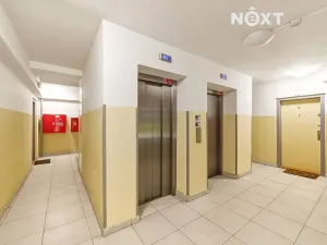 Prodej bytu 2+1, Praha - Žižkov, Habrová, 46 m2