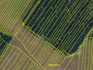 Prodej lesa, Silůvky, 174 m2