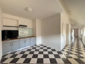 Prodej bytu 1+1, Brno, Čápkova, 54 m2