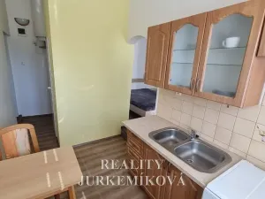 Pronájem bytu 1+kk, České Budějovice, 25 m2