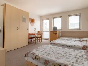 Pronájem bytu 1+kk, Mladá Boleslav, 25 m2