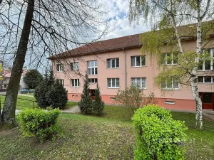 Pronájem bytu 2+1, Most, Alej Boženy Němcové, 58 m2